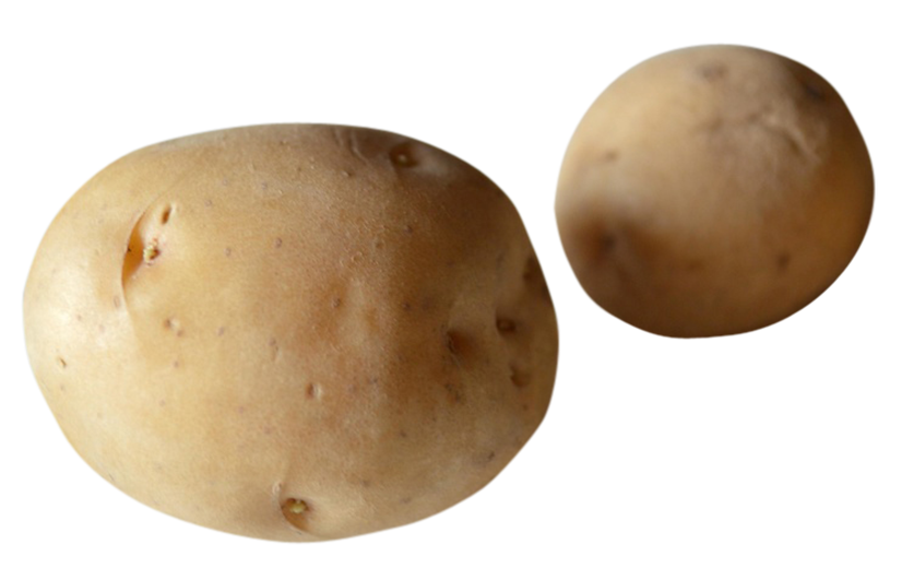 potato png image, potato transparent png image, potato png full hd images download